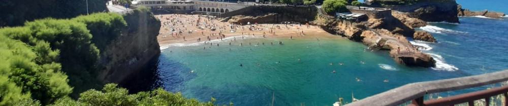 Delphine B. (Delph cleaning service)