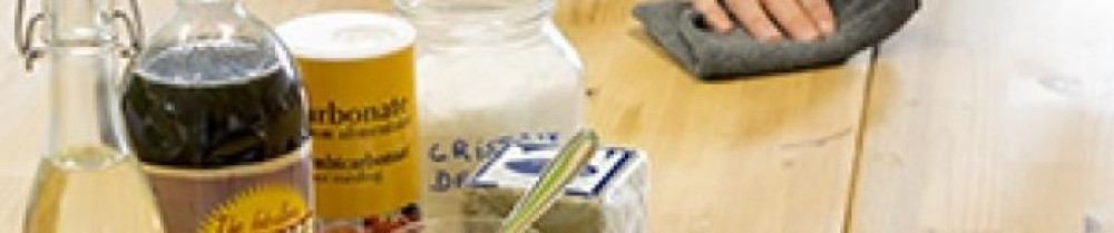 Lamia D. (Arinas-ines Services)