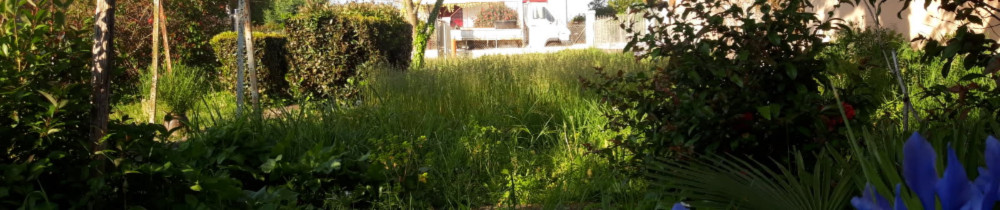 Kevin P. (KP entretien jardin)