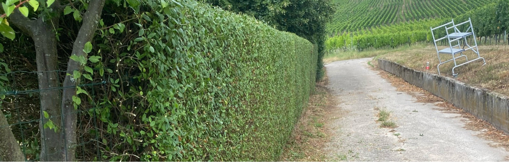 Stéphane B. (BS Espaces Verts Multiser...