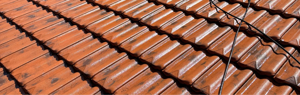 Cameron L. (Mr Lenfant)