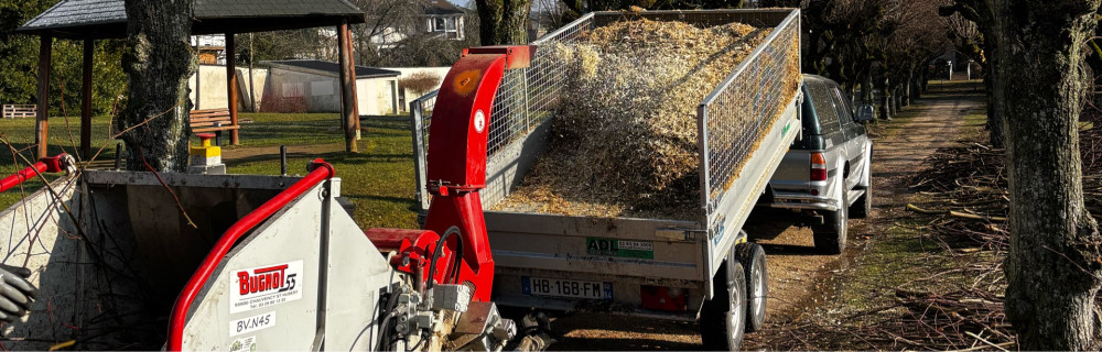 Paul R. (Paul Paysage & Elagage)