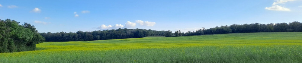 Mathieu S.