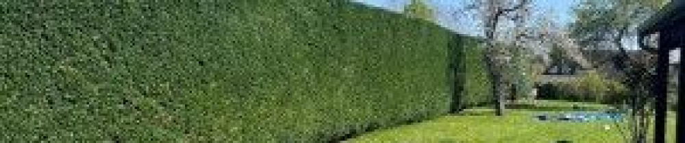 Louis M. (élagage abattage Entretien)