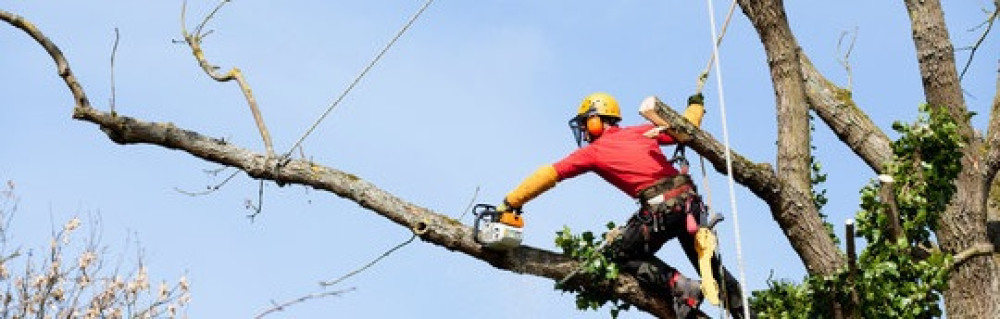 Rayan D. (Ent.desmelliers)