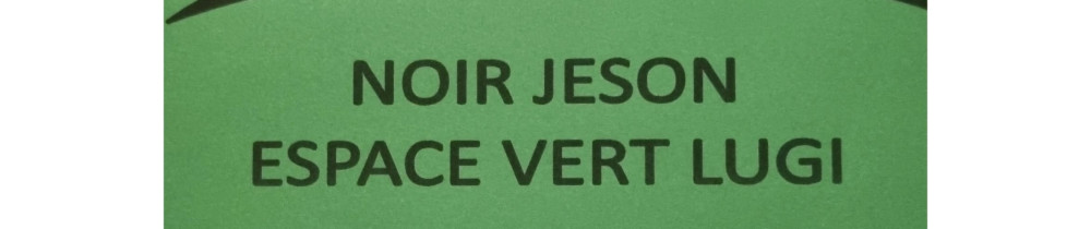 Jeson N. (NOIR JESON ESPACE VERT LUGI)