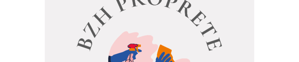 Bzh P. (BZH PROPRETE ET DEBARRAS)