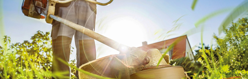 Najete E. (Najete El Jabri)