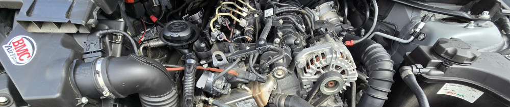 Patrice L. (Wpl-multiservices)