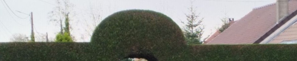 Jm H.