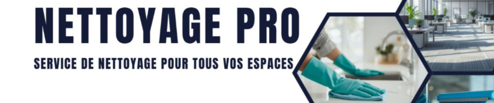 Christelle M. (BrillanceMenage)