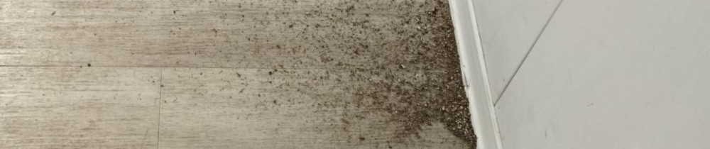 Yoni M. (YONI MENORET)