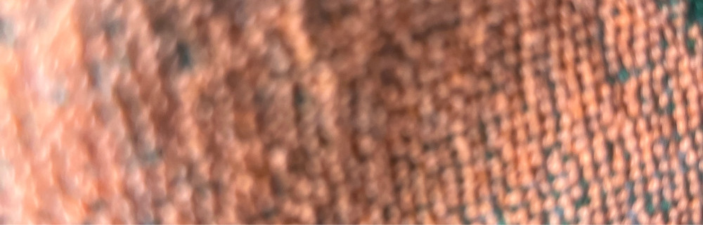 Nikolai G. (Garage Gaishun Master Pro)