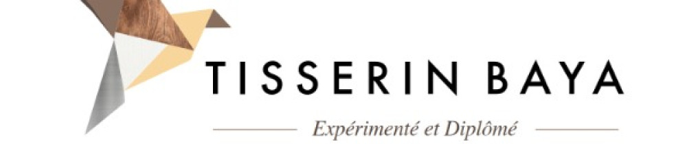 Tisserin baya