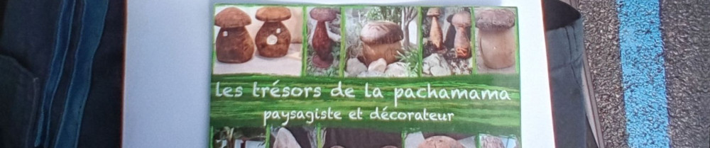 Vincent D. (les trésors de la pachamam...