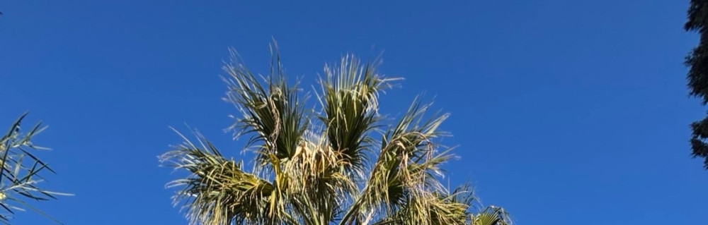 Jean A. (Am Espace Vert)