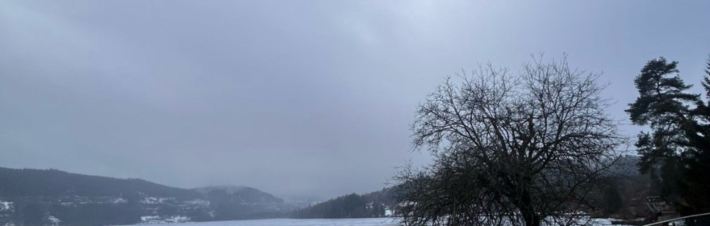 Serge T. (Serge & Clean)