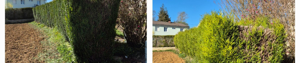 Bryan L. (Beautiful Garden)