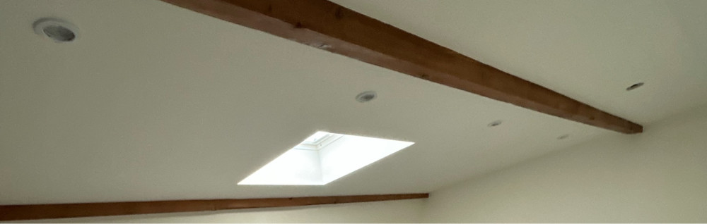 Amir V. (Vishesella)