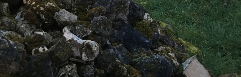 Rodolfo O. (Oliveira Terrassement)