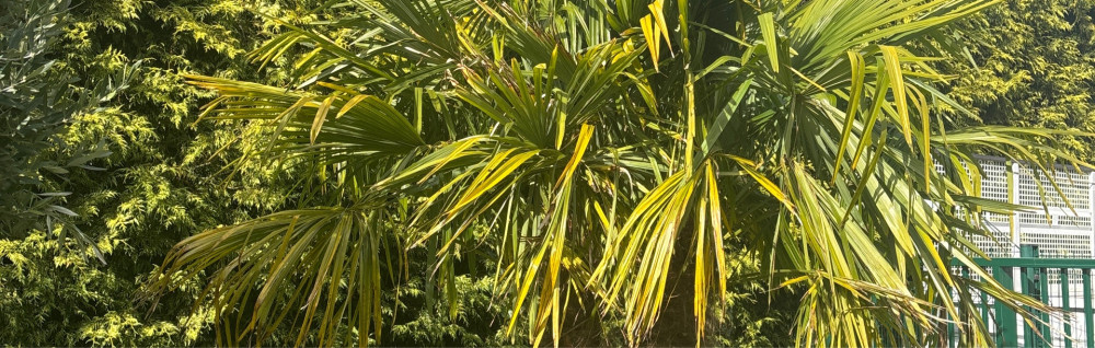 Carpentier W. (Entreprise Carpentier)