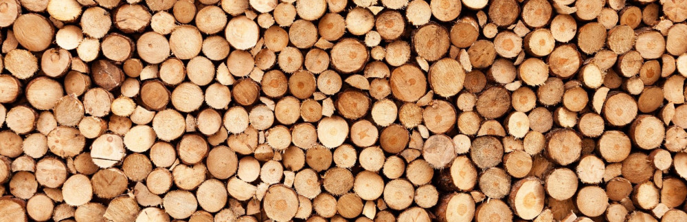 Jules C. (L'atelier de Jules)