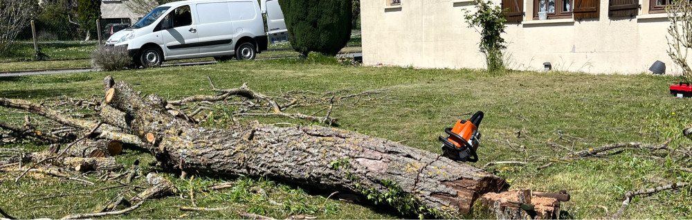 Benjamin L. (BenjaMain’Verte)