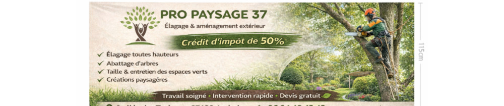 Nicolas C. (Pro paysage 37)
