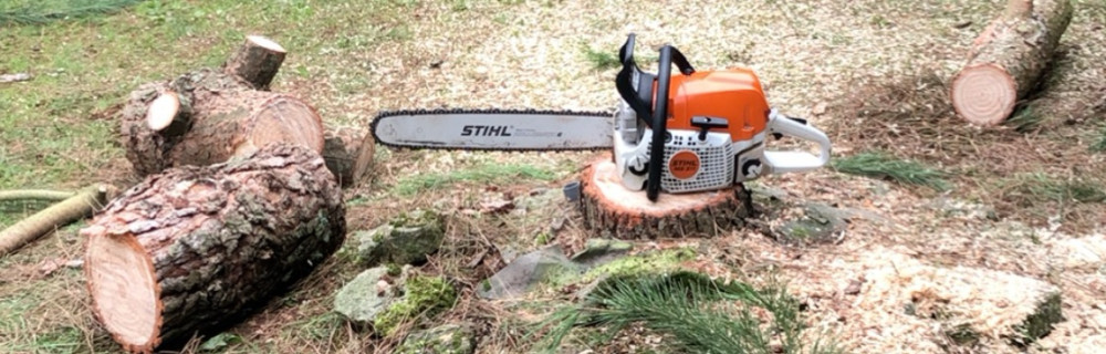 Sullivan F. (sullivan multiservice)