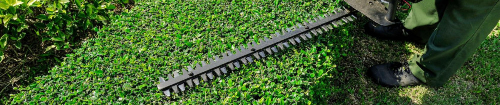 Raynald T. (Natura Conception)