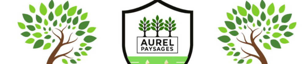 Aurelien P.