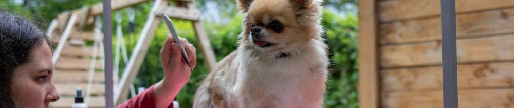 Célia Amandine Killiana D.