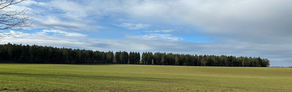 Enzo M. (m paysage 86)