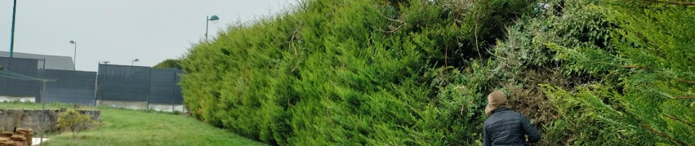 Christophe H. (entreprises holleville)