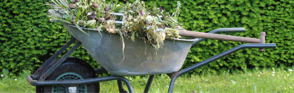 Augustin M. (ADM-JARDINIER/PAYSAGISTE)