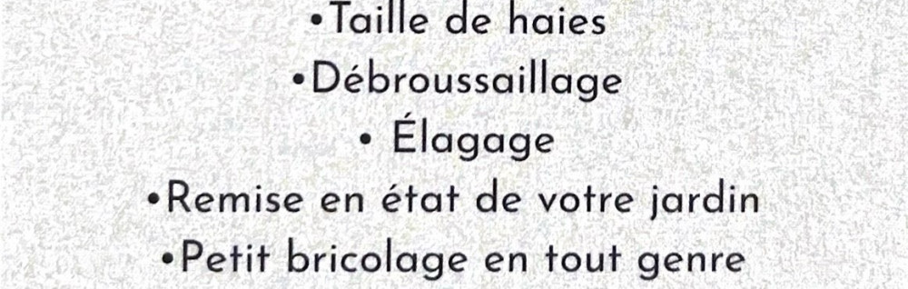 Lucas T. (LT Multi-services)