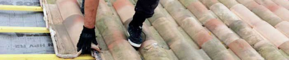 Antoine Stephen L. (JM Habitat Service...