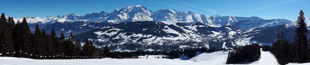 Adeline M. (Adeline.A Clean service)