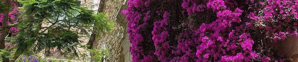 Jordan R. (Robic présta services)