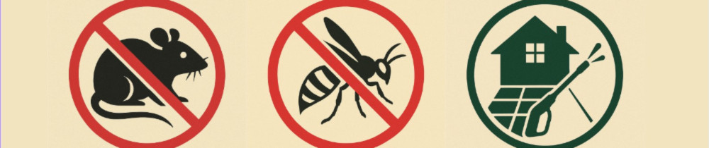 Fabrice L. (AFS service)