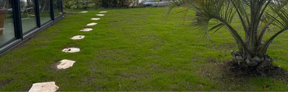 Juanito S. (Nito multi services)