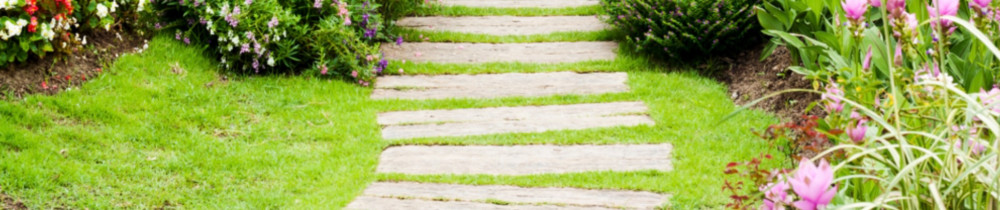 Anthony C. (Antho Multi-Services)