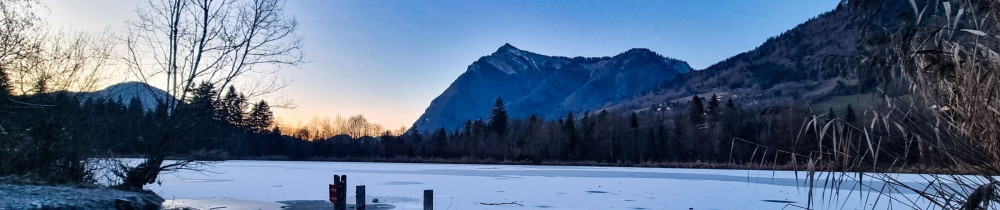 Aurore B. (Ménages....et Vous!)