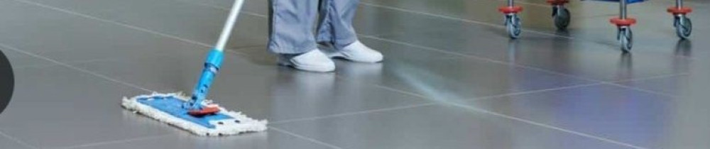 Malvina C. (MR propre nettoayage)