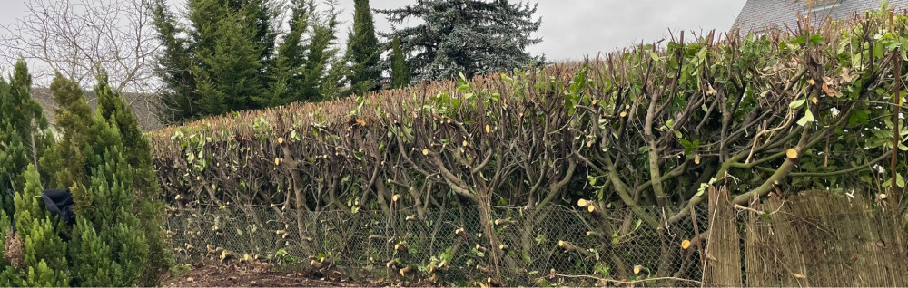 Mike B. (M.b Espace Verts)