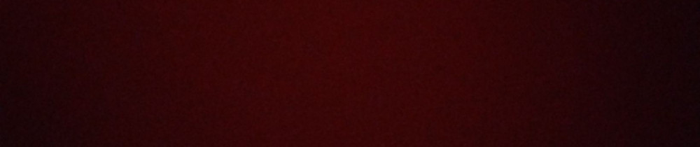 Laetitia T. (Laetitia tillet)