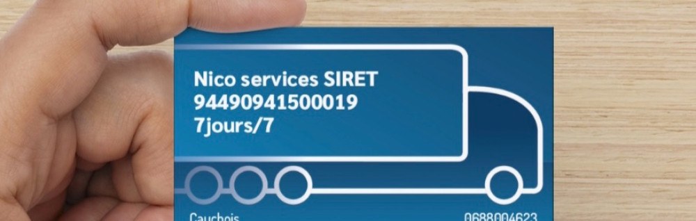 Nicolas C. (nico services)