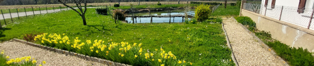 Jimmy S. (JD MULTI services)