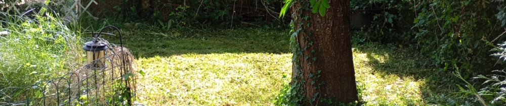 Angelina L. (Angy prestas-services)