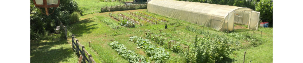 Nicolas S. (NLC Sservices)